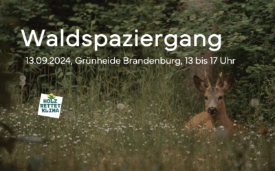 Einladung zum Waldspaziergang