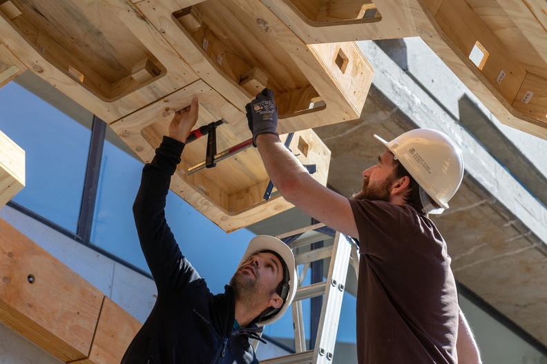 Seminarreihe: Bauen mit Holz - Grundlagen
