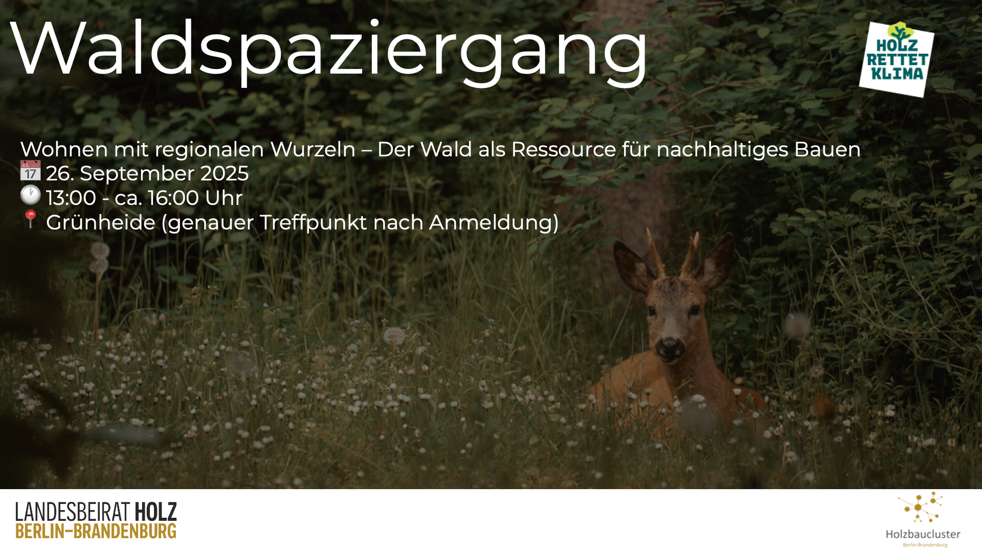 Waldspaziergang "Wohnen mit regionalen Wurzeln"