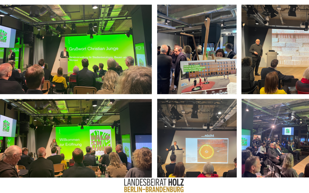 „Wald im Haus“ eröffnet: Holzbaupreis Berlin-Brandenburg Projekte in der Öffentlichkeit