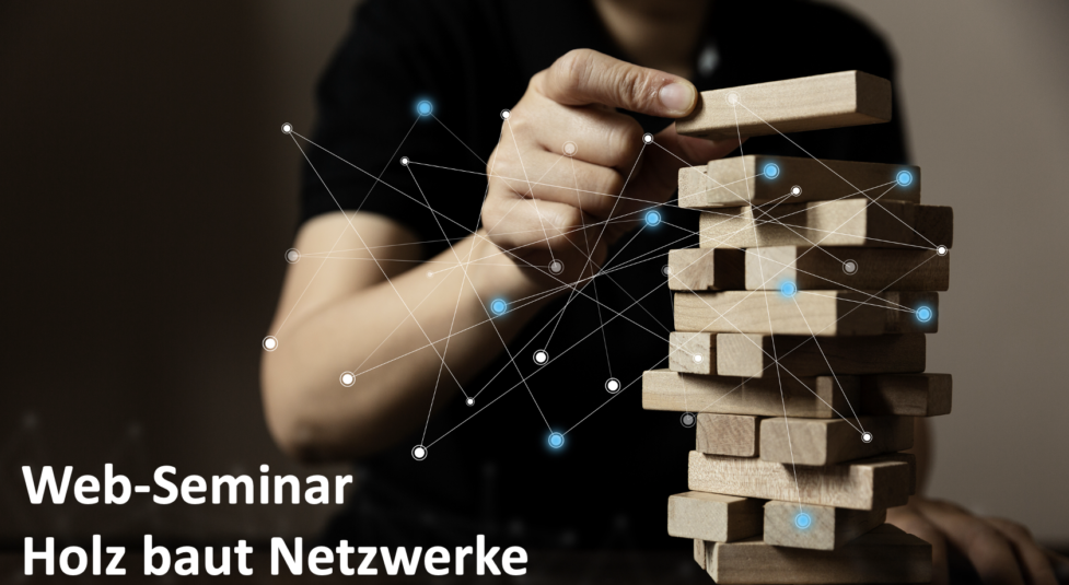 Webseminar Reihe Holzbau: Holzfassade, Fassadenhölzer, Oberflächen und LCA/EPD