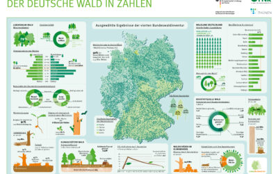 111 Jahre Dauerwaldvertrag: Gute Signale für Berliner Holz, offene Fragen bei den Mengen