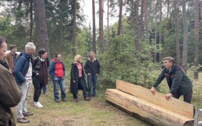 Brandenburgs Wald verändert sich. Was das für den Holzbau bedeutet