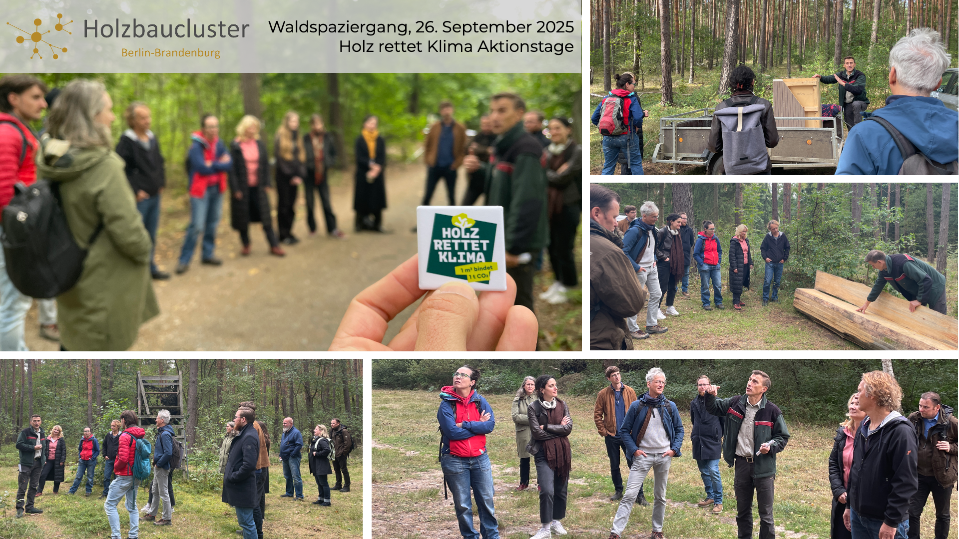 Fotocollage: Waldspaziergang in Alt Buchhorst
